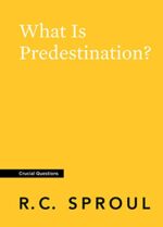31ftTOEYVSL What Is Predestination?