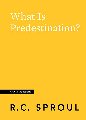 31ftTOEYVSL What Is Predestination?