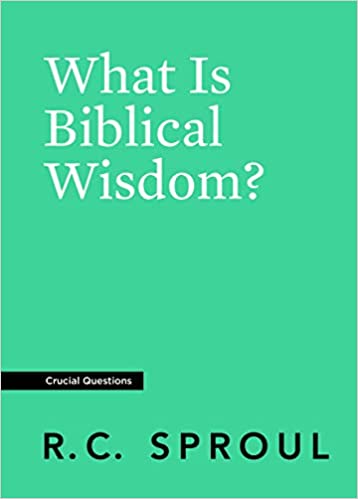 31vqBSLGotL._SX356_BO1,204,203,200_ (1) What Is Biblical Wisdom?