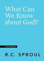 41aoUjOSNxL What Can We Know about God?