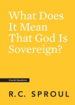 god is soveriegn What Does It Mean That God is Sovereign?